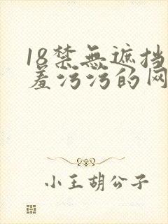 18禁无遮挡羞羞污污的网站