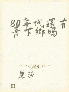 80年代还有知青下乡吗