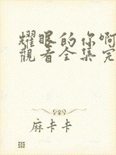 耀眼的你啊免费观看全集完整版封面