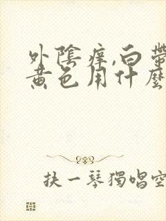 外阴痒,白带带黄色用什么药