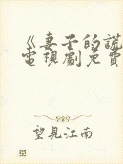 《妻子的谎言》电视剧免费观看全集封面