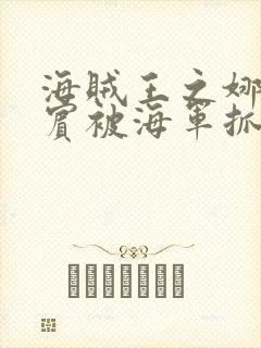 海贼王之娜美罗宾被海军抓住小说