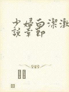 少妇白洁激情小说章节