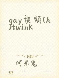 gay视频(h)twink封面
