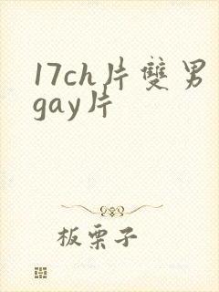 17ch片双男gay片
