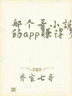 哪个看小说赚钱的app赚得多