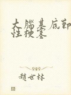 大脑基底节腔隙性梗塞