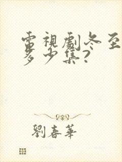 电视剧冬至一共多少集?