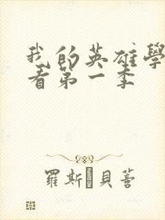 我的英雄学院观看第一季封面