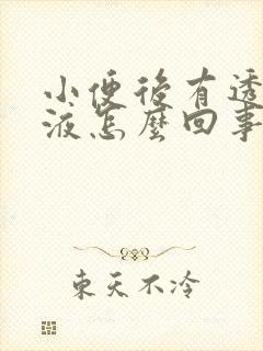 小便后有透明粘液怎么回事