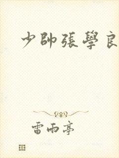 少帅张学良老蒋封面