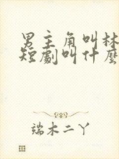 男主角叫林峰的短剧叫什么