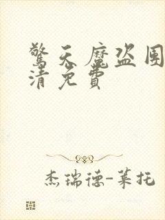 惊天魔盗团2高清免费封面