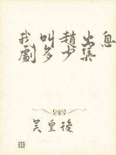 我叫赵出息电视剧多少集