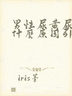 男性尿黄尿疼是什么原因引起的