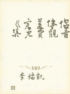 《完美伴侣》全集免费观看封面