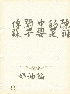 传闻中的陈芊芊苏子婴是谁封面