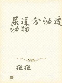 尿道分泌透明分泌物