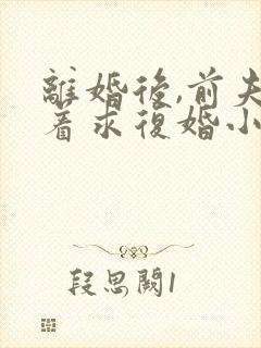 离婚后,前夫哭着求复婚小说正版