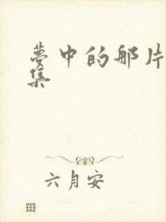 梦中的那片海全集