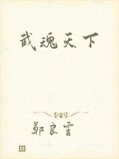 武魂天下
