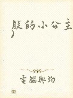 朕的小公主(H)封面