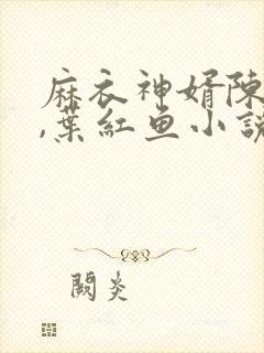 麻衣神婿陈黄皮,叶红鱼小说