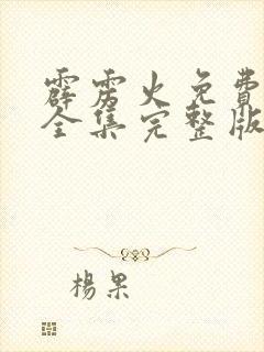 霹雳火免费观看全集完整版封面