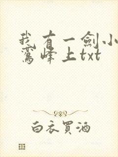我有一剑小说青鸾峰上txt