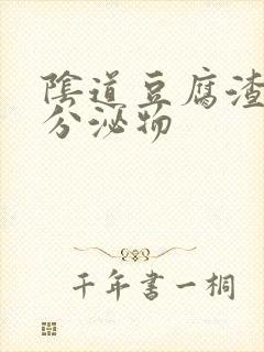 阴道豆腐渣阴道分泌物