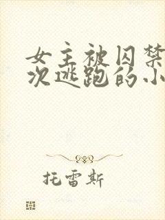 女主被囚禁并多次逃跑的小说