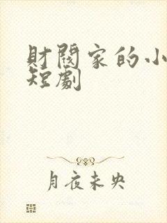 财阀家的小儿子短剧