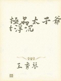 极品太子爷txt浮沉