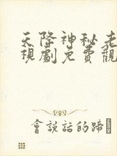 天降神秘老公电视剧免费观看