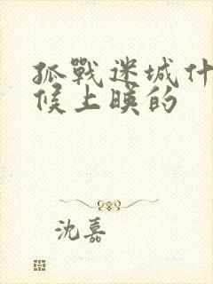 孤战迷城什么时候上映的