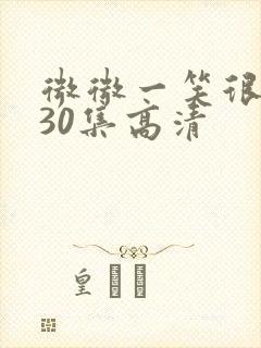 微微一笑很倾城30集高清