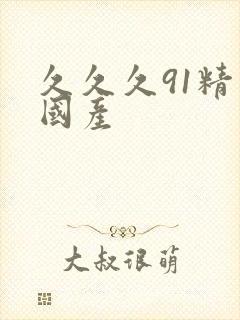 久久久91精品国产