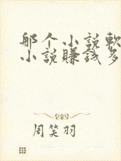 那个小说软件写小说赚钱多