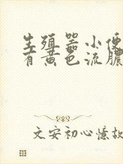 生殖器小便刺痛有黄色流脓