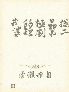 我的极品总裁老婆短剧第二集在线观看