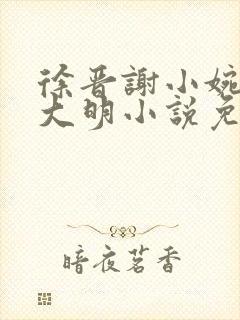 徐晋谢小婉穿越大明小说免费阅读