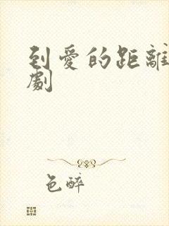 到爱的距离电视剧