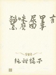 猫咪尿里有血是怎么回事