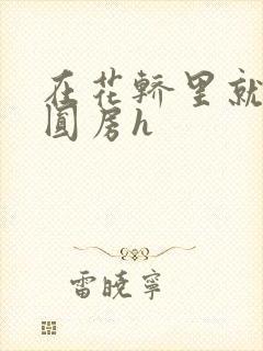 在花轿里就开始圆房h封面