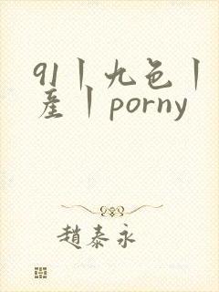91丨九色丨国产丨porny封面