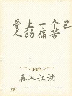 爱上一个已婚男人的痛苦封面