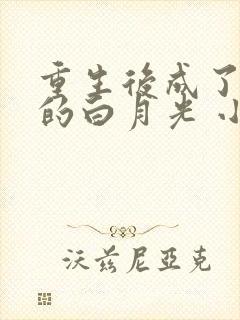 重生后成了太子的白月光 小说