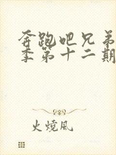 奔跑吧兄弟第五季第十二期画中人