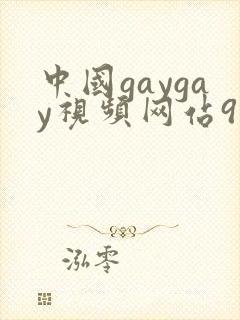 中国gaygay视频网站9191
