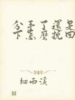 分手了还是放不下怎么挽回